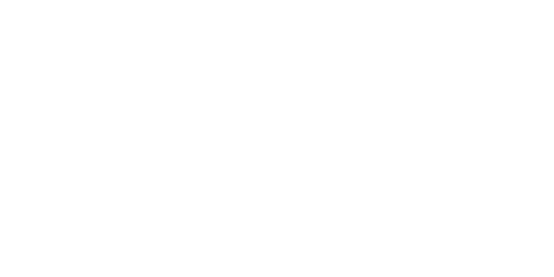 Server Management Panel logo